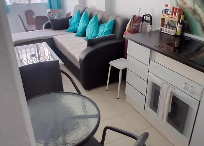 Galeon 公寓 托雷维耶哈